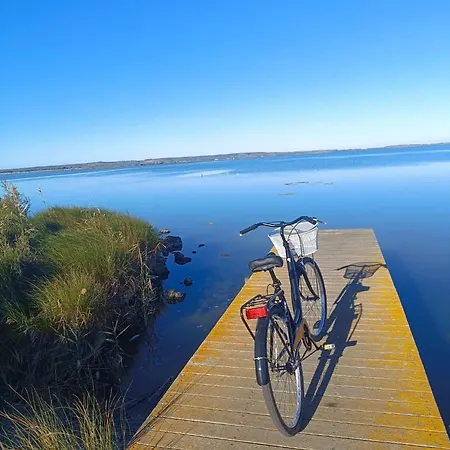 Casa vacanze La Dimora Degli Scalzi *
